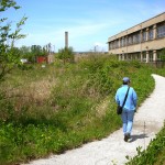 bird habitat at Center for Green Technology