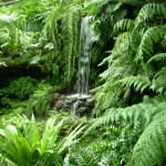 water fall in Fern Room