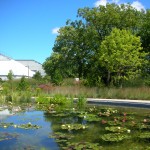 lily pond and conservatory