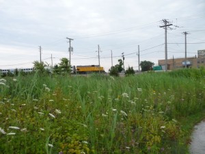 view of passing train from the prairie-wetland