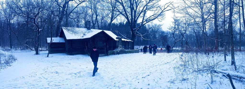 Brushwood Center Soundwalk