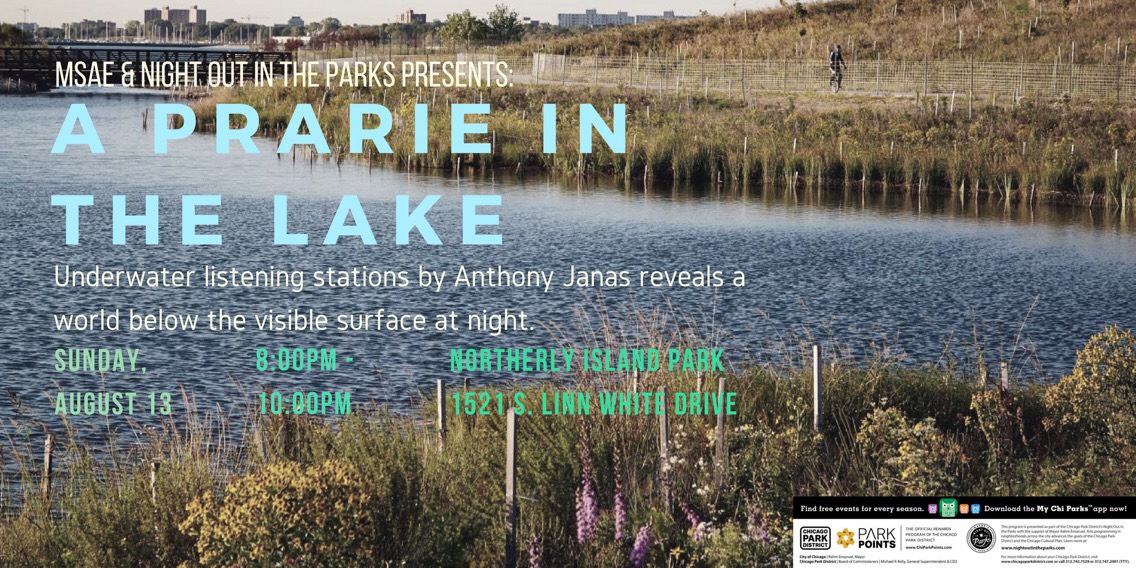 Prairie In the Lake at Northerly Island with Anthony Janas | Sunday, August 13
