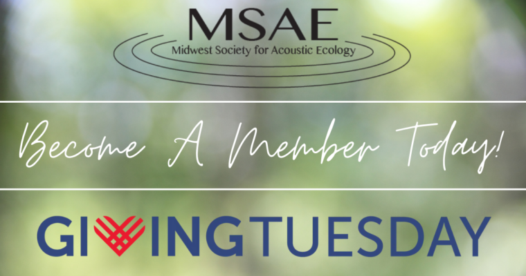 Giving Tuesday – Support MSAE!