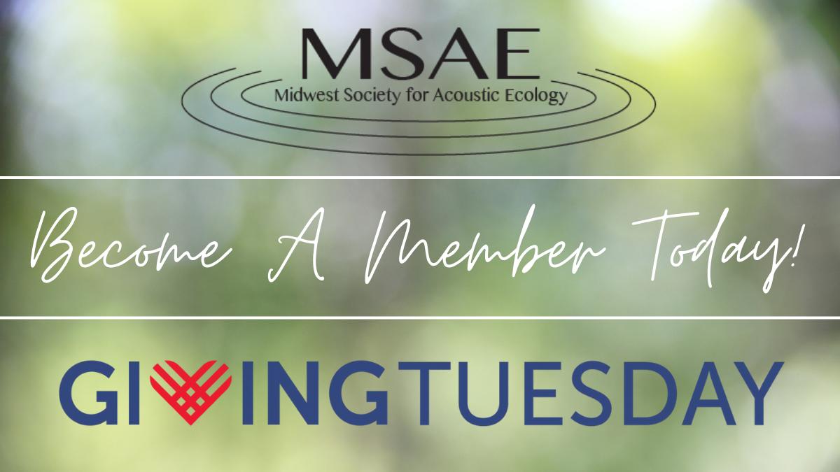 Giving Tuesday – Support MSAE!