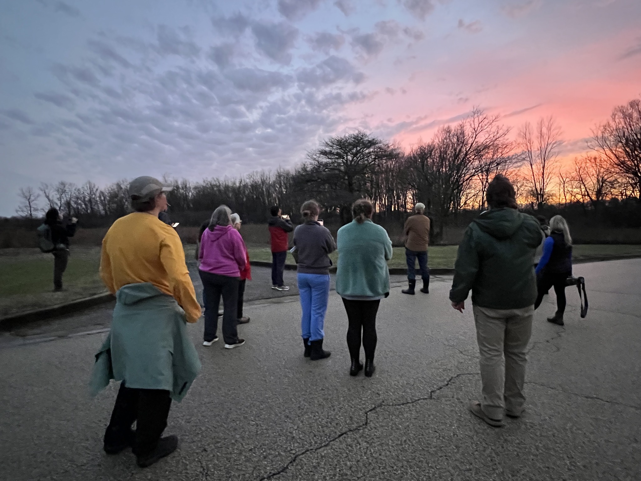 Group of people outdoor facing the trees and sunset.