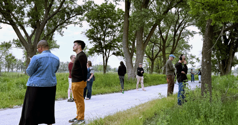 Soundwalk participants stand quietly among tall cottonwood trees at Big Marsh Park.